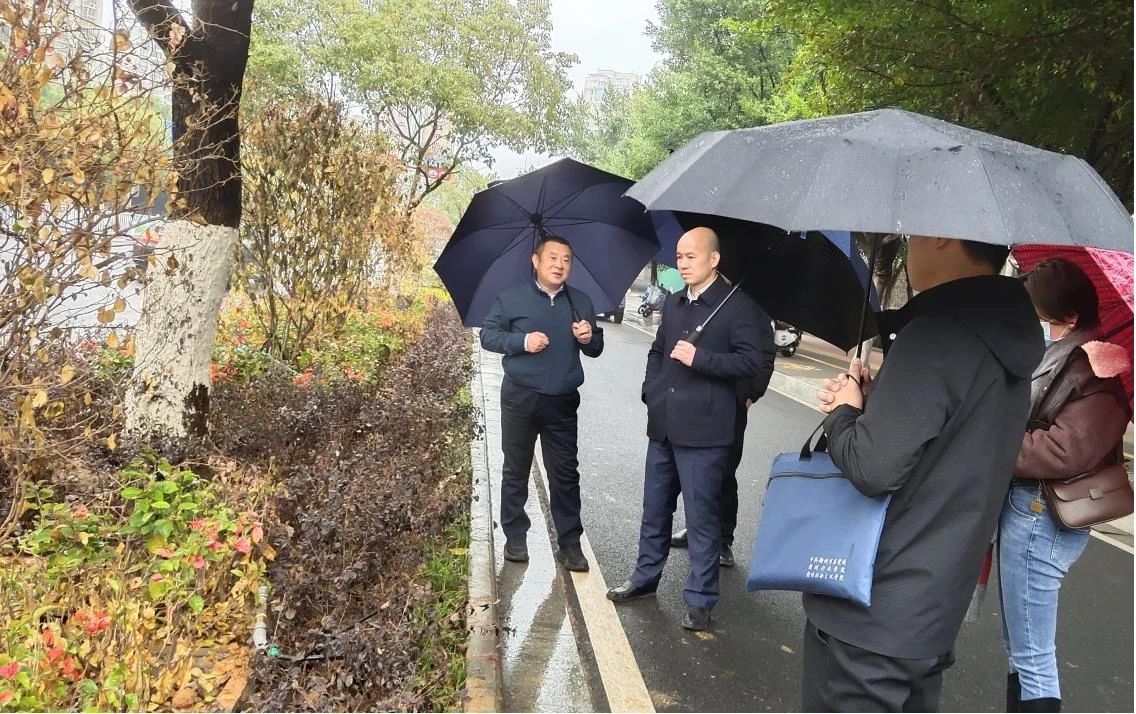 吴忠浩调度中心城区园林绿化管养及市容环境整治工作