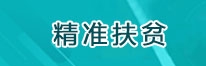 精准扶贫