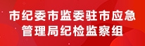 市纪委市监委驻市应急管理局纪检监察组