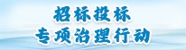 招标投标专项治理行动