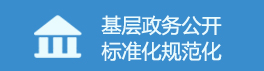基层政务公开标准化规范化