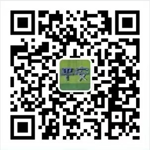区交警大队