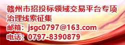 赣州市招投标领域交易平台专项治理线索征集